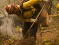 Wildland Fire Safety Course